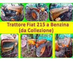 Trattore Agricolo Fiat 215 a Benzina da Collezione - Immagine 1